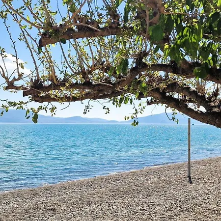 Politika House Skala (Evia)